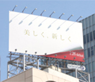 IPSの設立